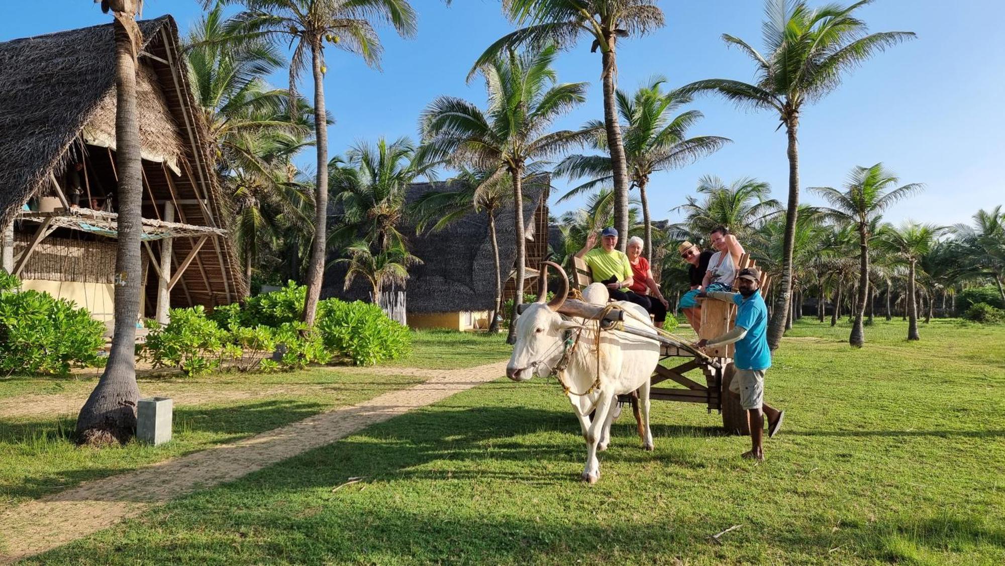 Elements Beach & Nature Resort Kalpitiya Exterior photo