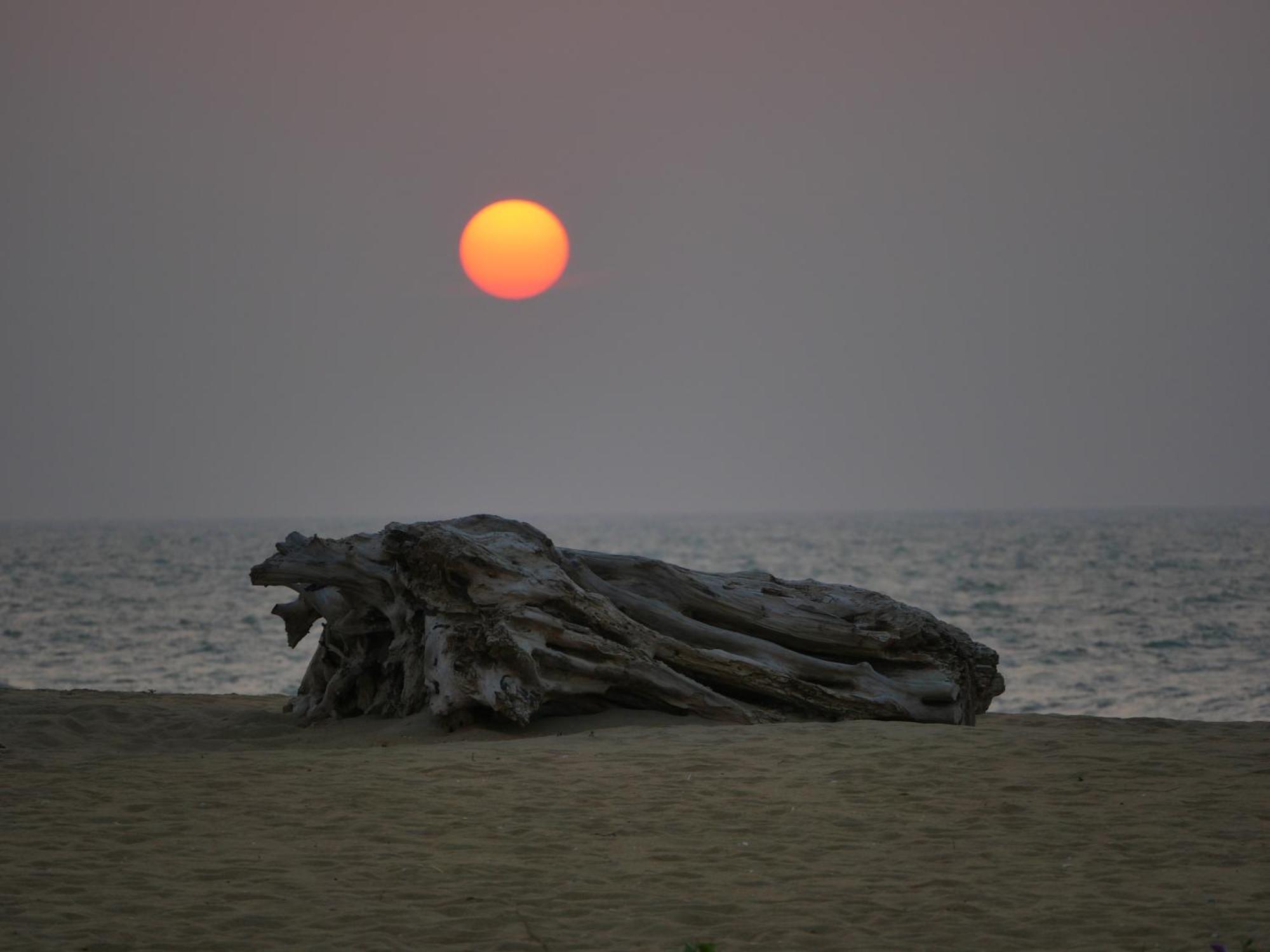 Elements Beach & Nature Resort Kalpitiya Exterior photo